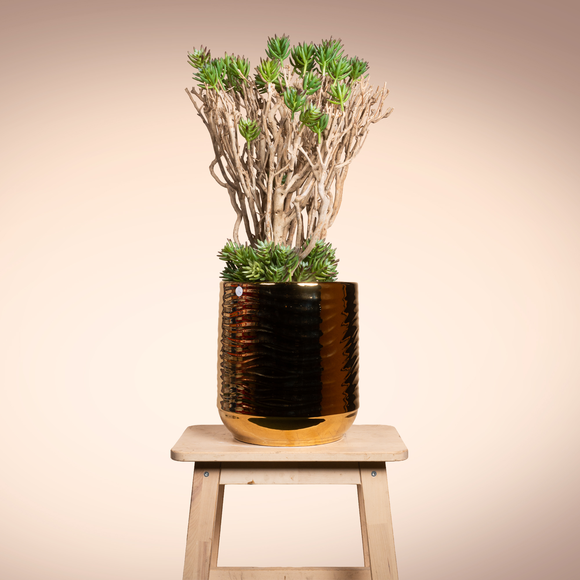 Green Foliage Arrangement