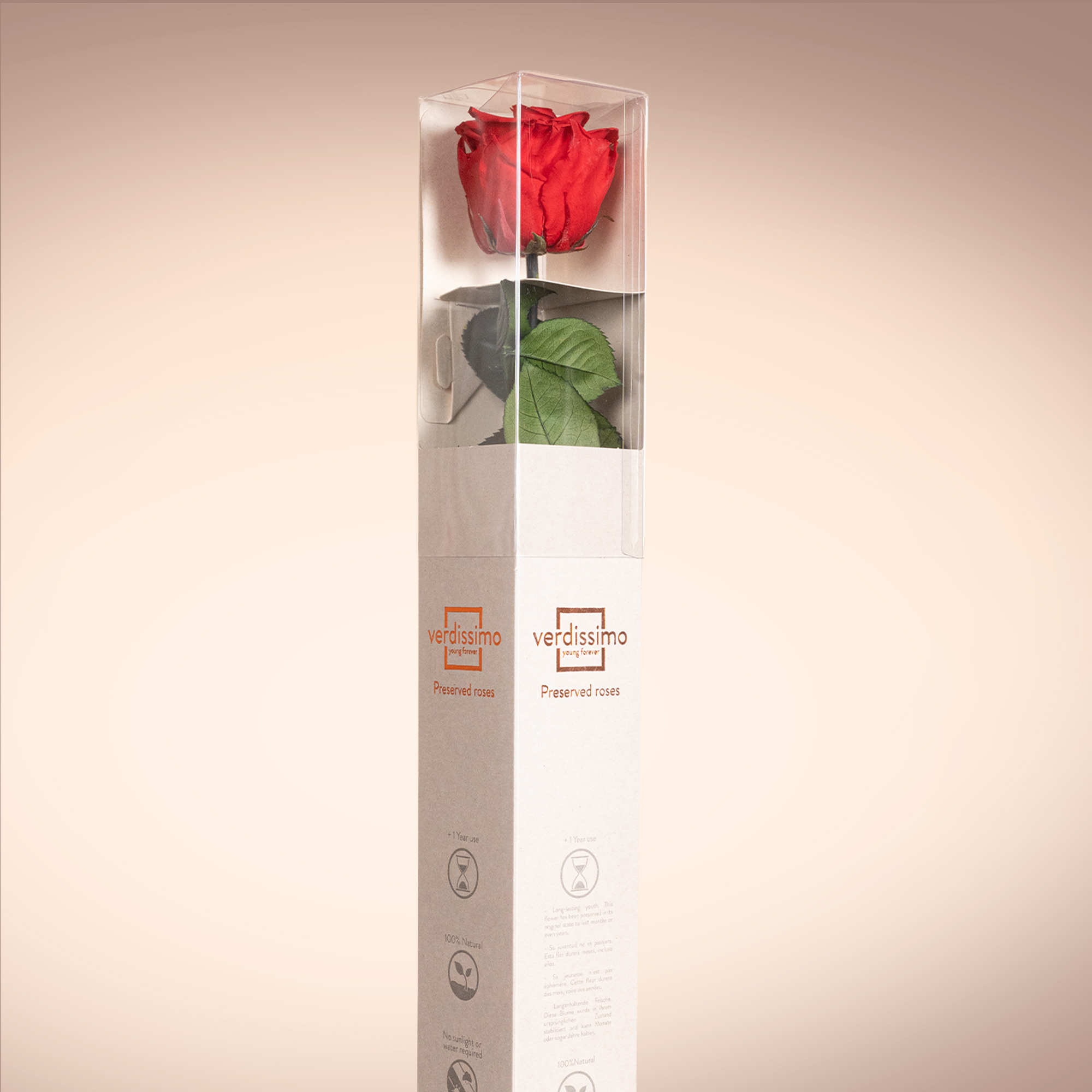 Everlasting Red Preserved Rose