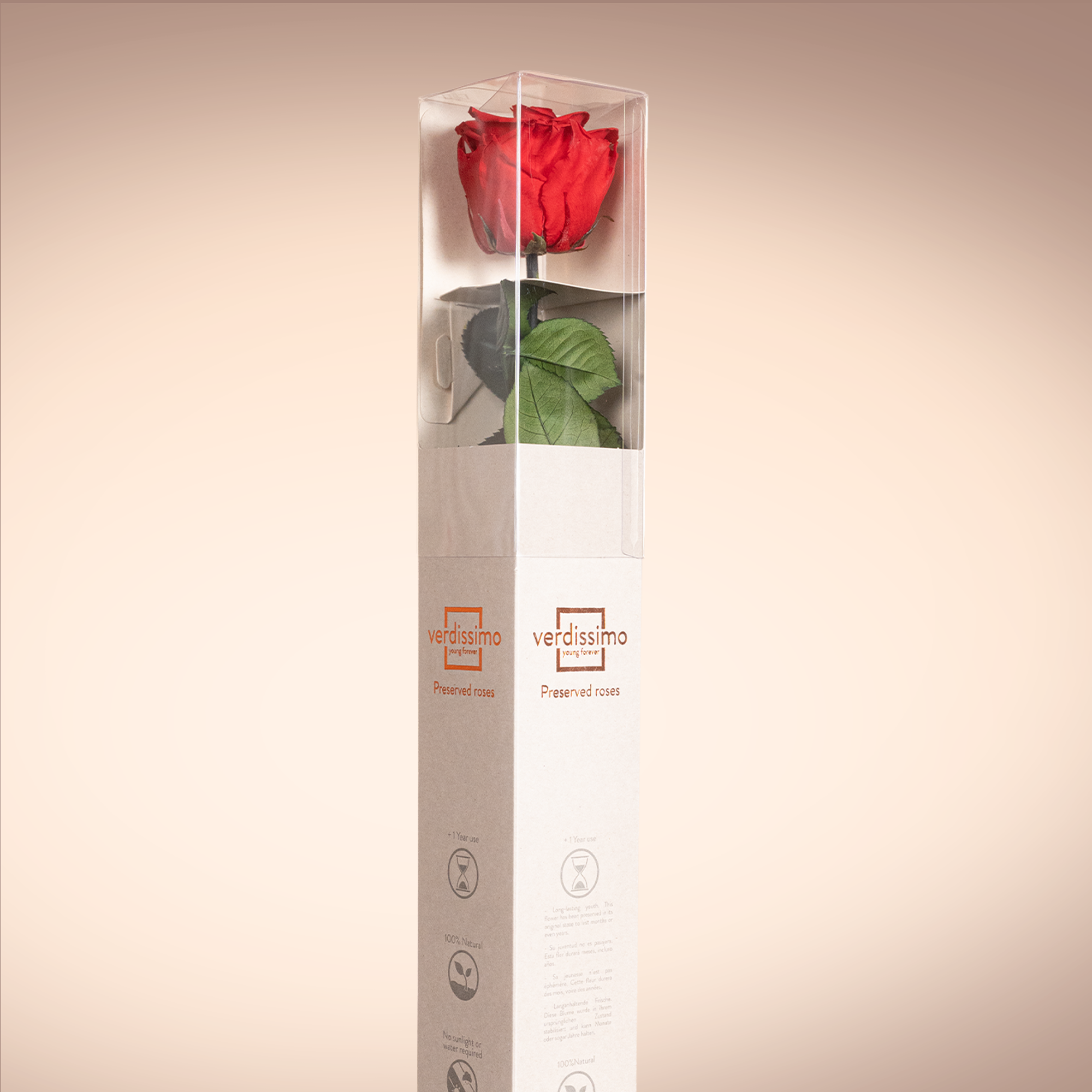 Everlasting Red Preserved Rose