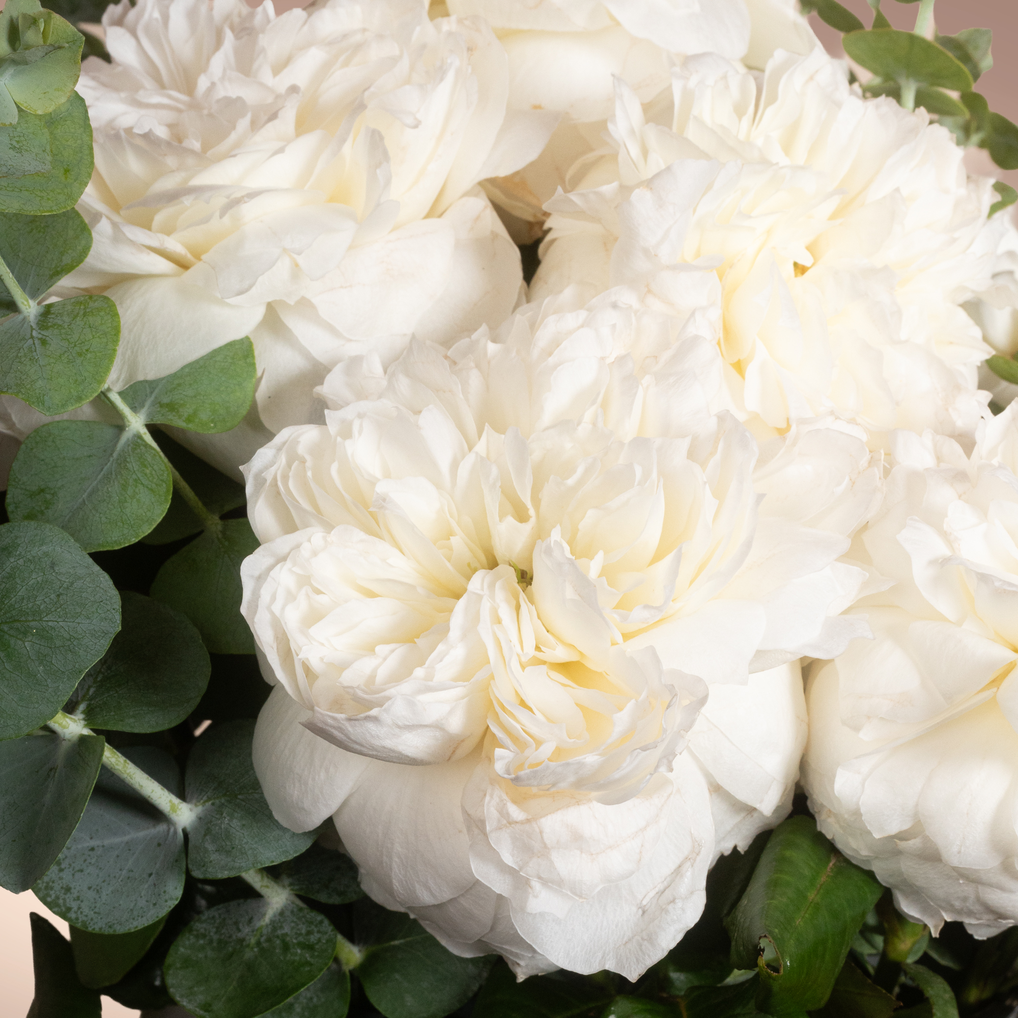 Pure White Flowers Vase