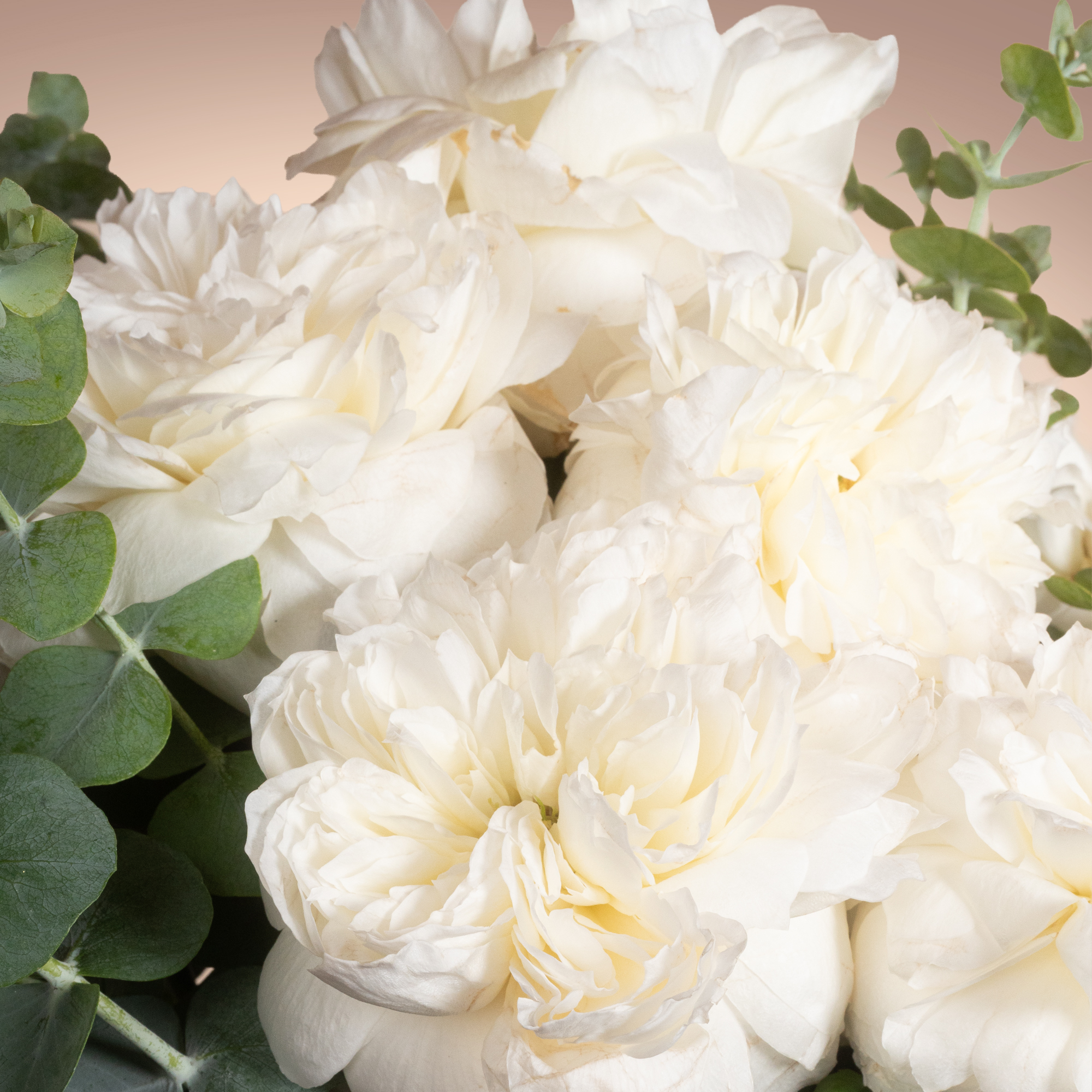 Pure White Flowers Vase