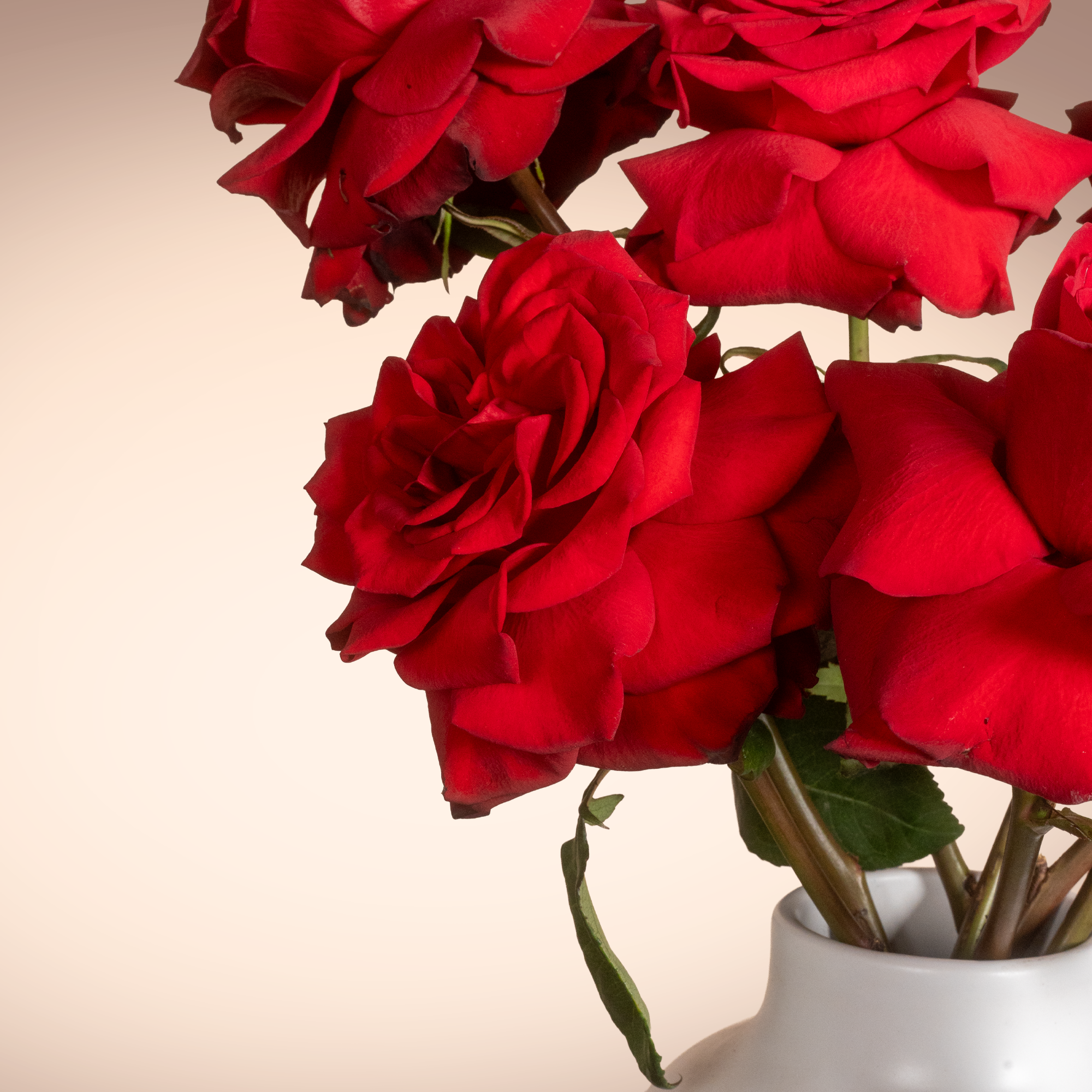 Simply Red Flowers Vase