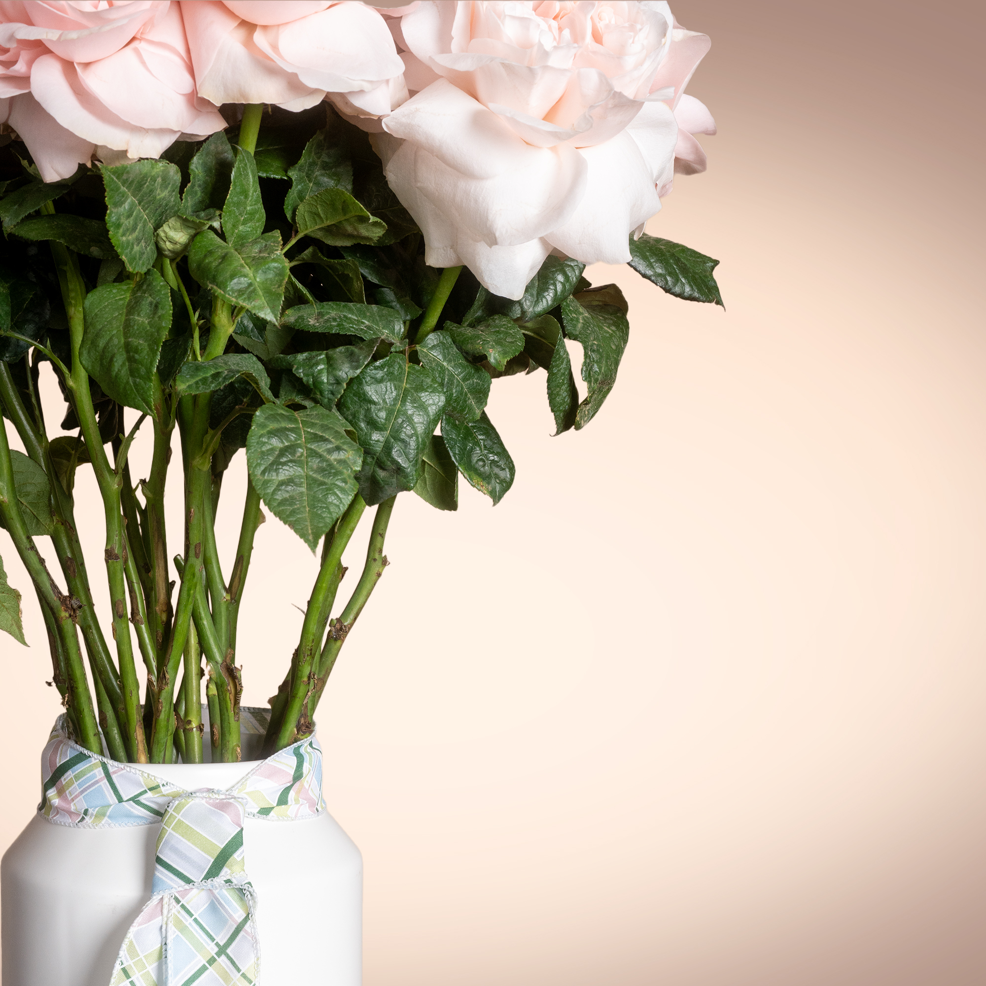 Soft Petals Flowers Vase