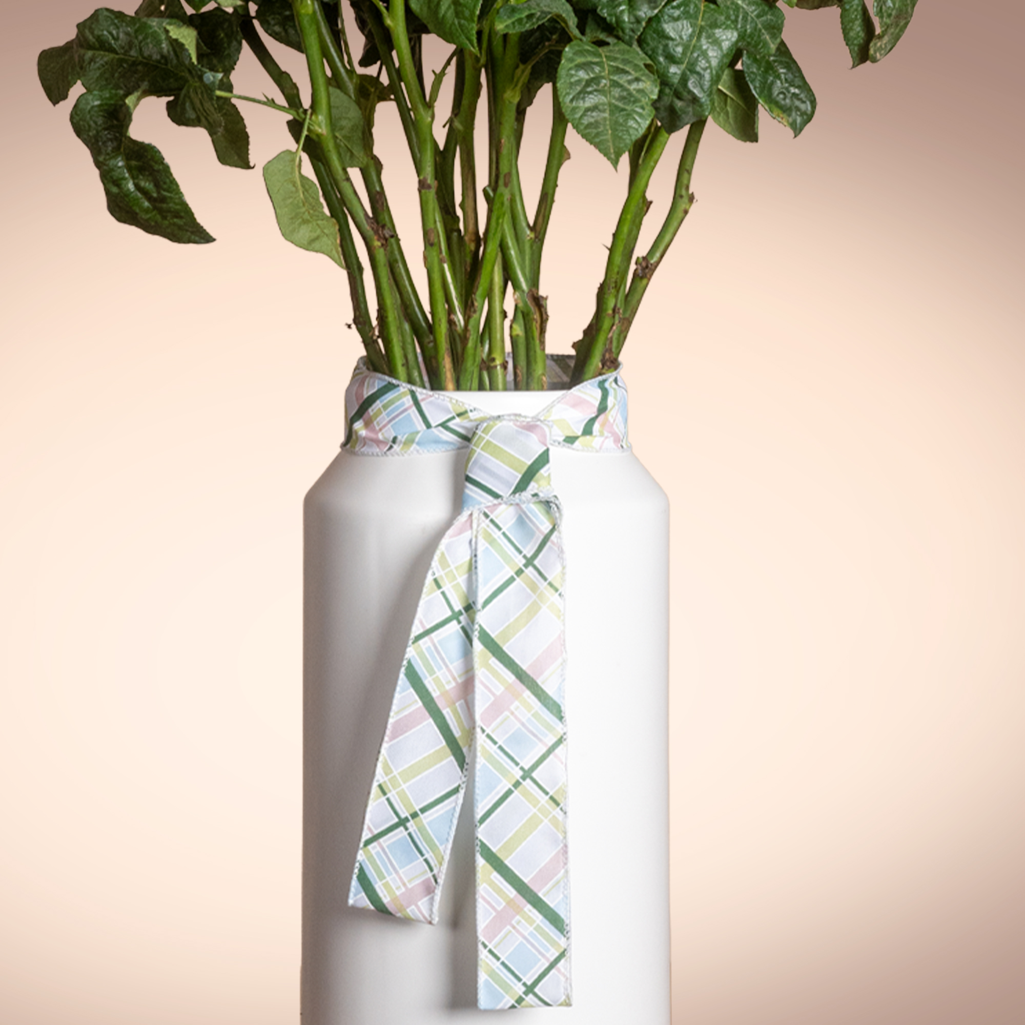 Soft Petals Flowers Vase