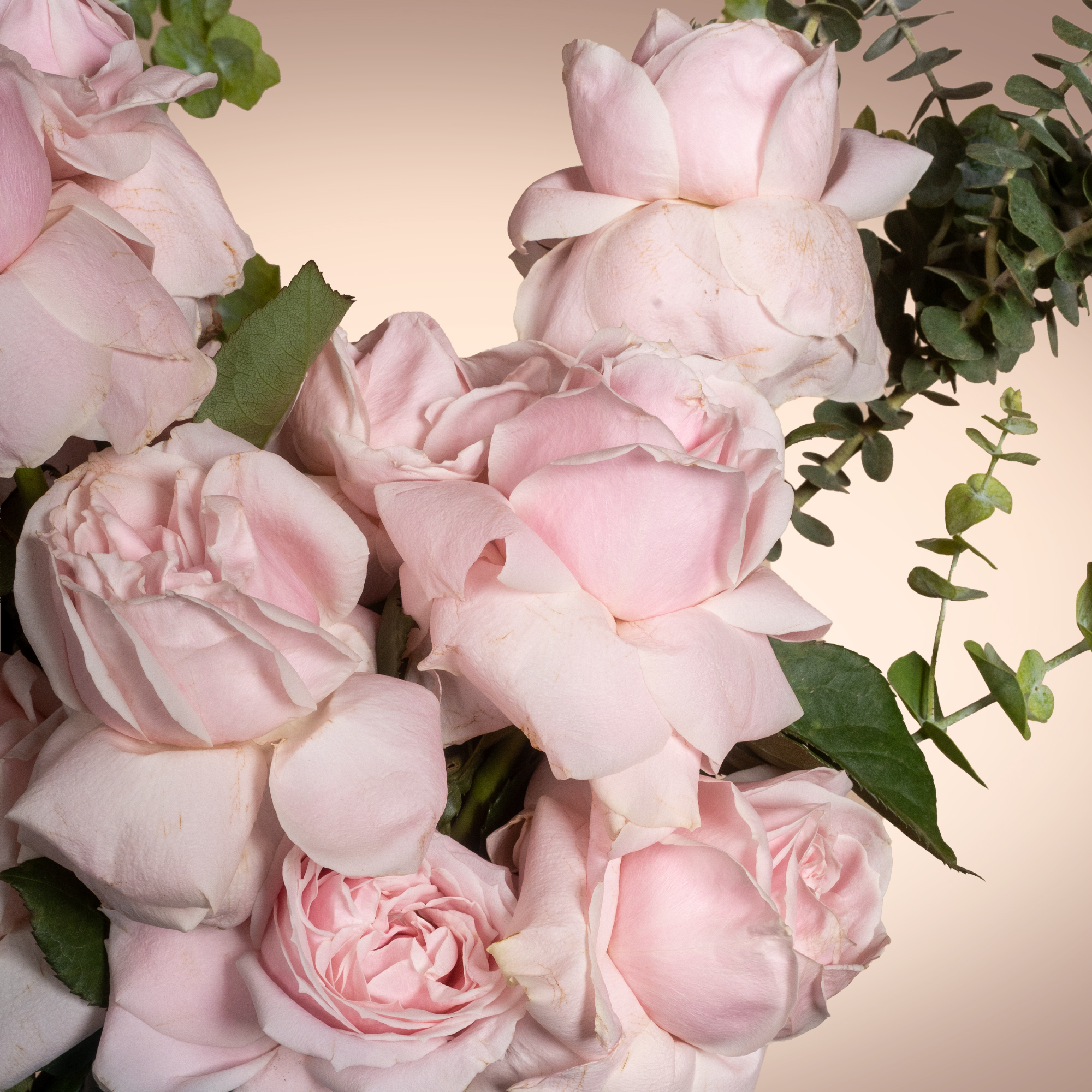 Whispers of Tenderness