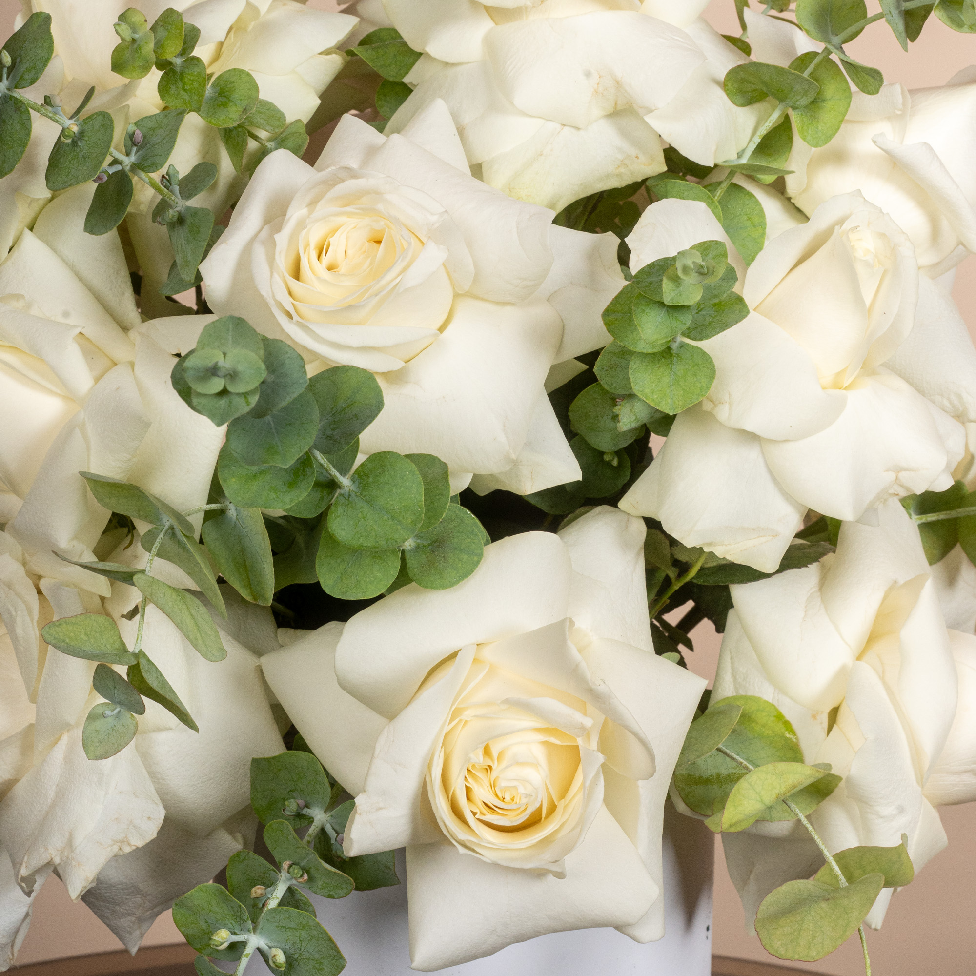 Snow Elegance Roses Box
