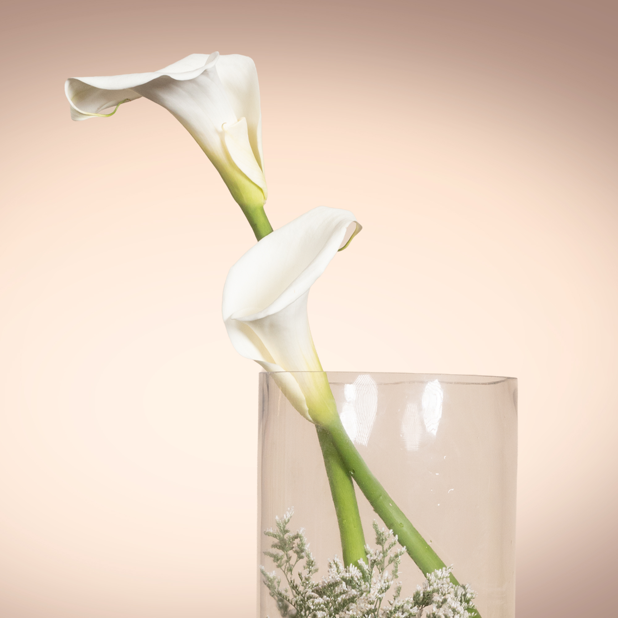 White Calla Grace Vase