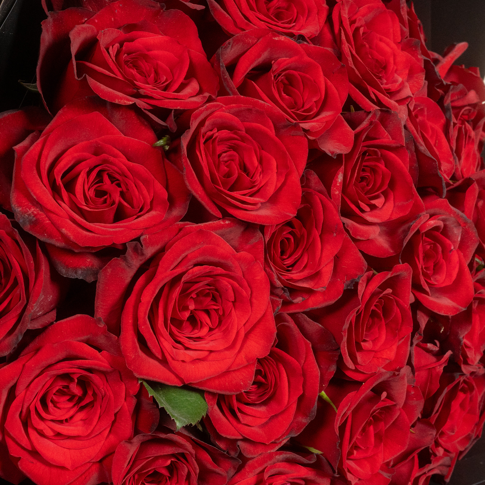 عشق مع الحلوى