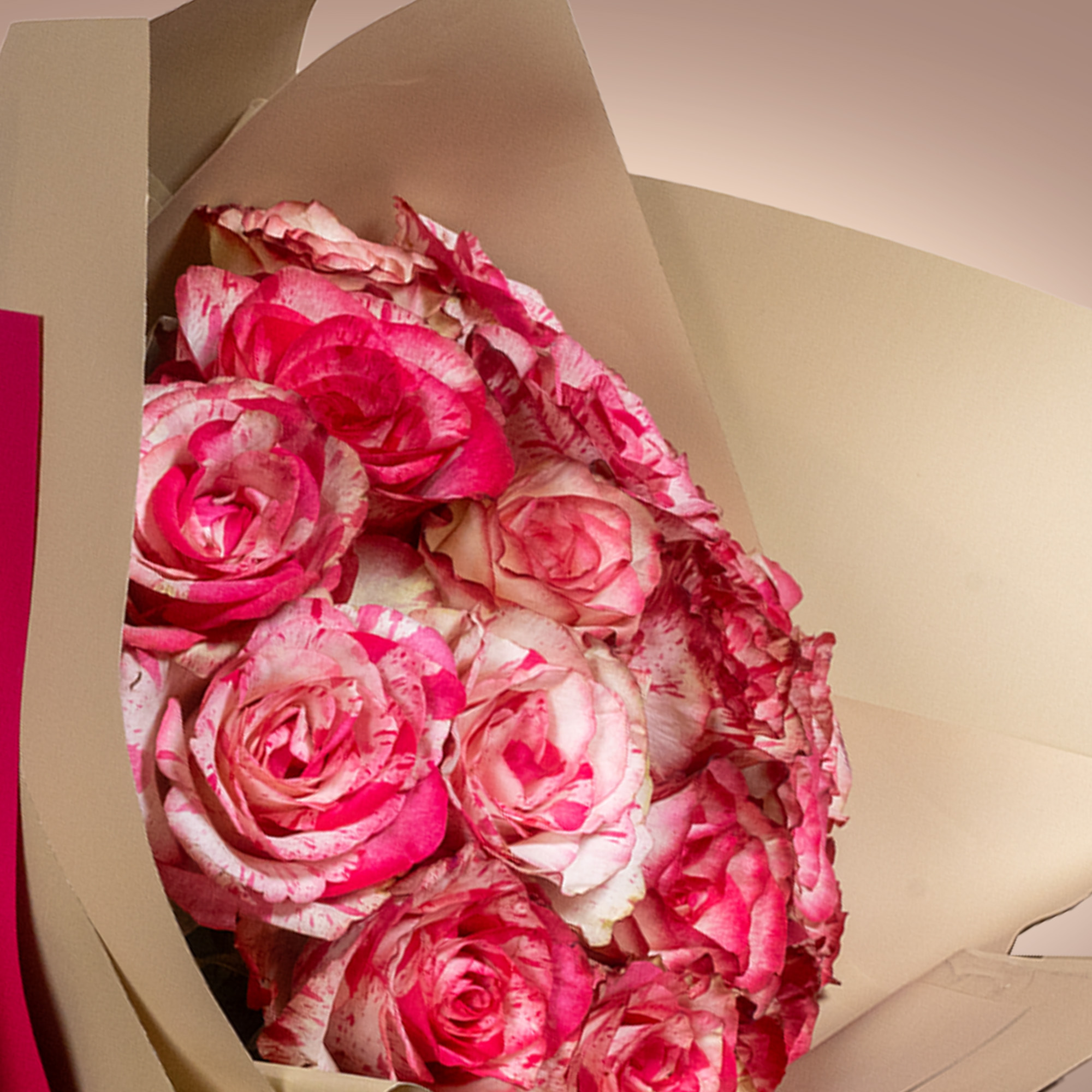 Rosy Enchantment
