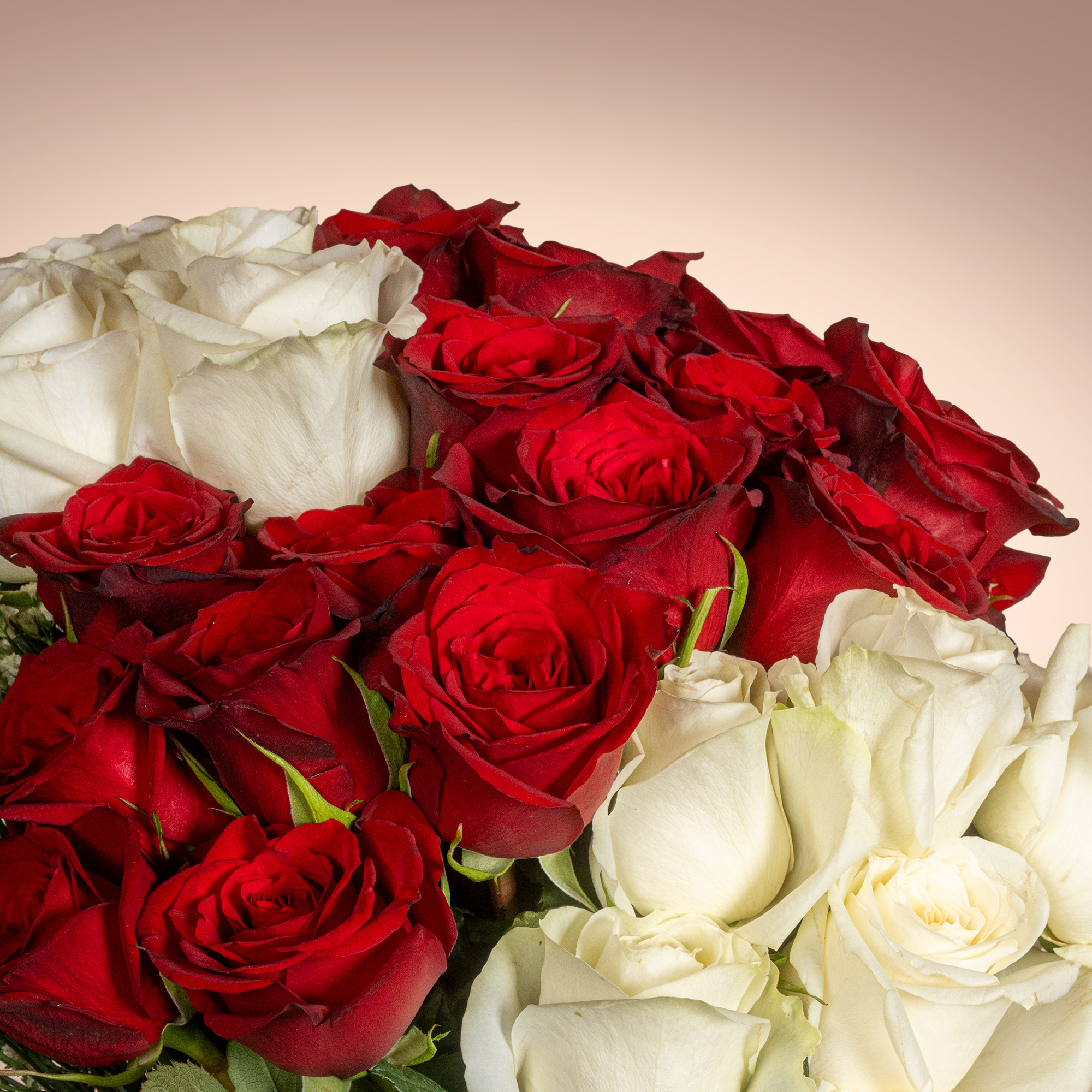 Timeless Romance