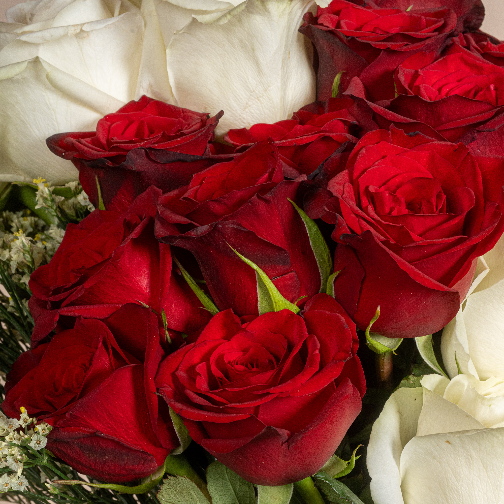 Timeless Romance